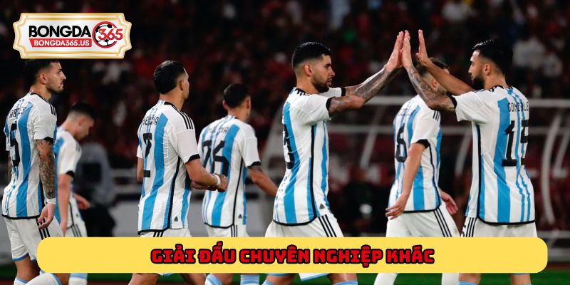 Giải đấu chuyên nghiệp khác nằm dưới Primera División tại bóng đá Argentina