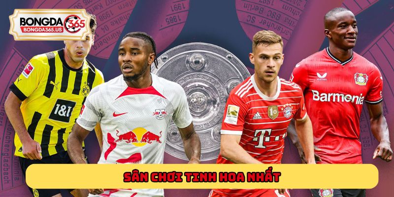 Sân chơi tinh hoa nhất