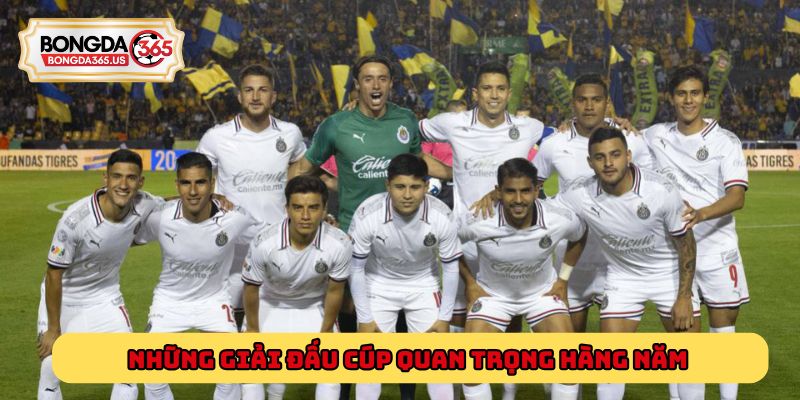 Những giải đấu cúp quan trọng hàng năm mà bạn cần biết