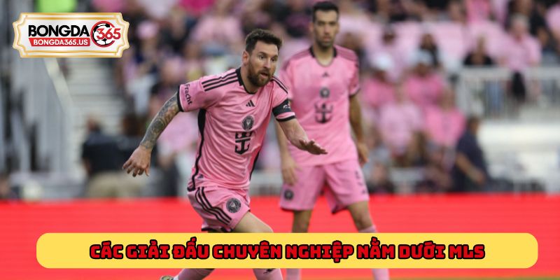 Các giải đấu chuyên nghiệp nằm dưới MLS mà bạn cần nắm