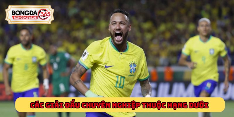 Các giải đấu chuyên nghiệp thuộc hạng dưới Série A mà bạn nên biết