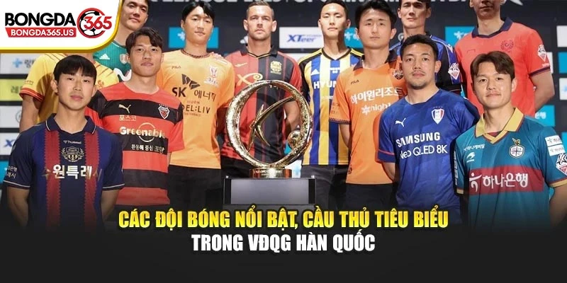 Các đội bóng nổi bật, cầu thủ tiêu biểu trong VĐQG Hàn Quốc