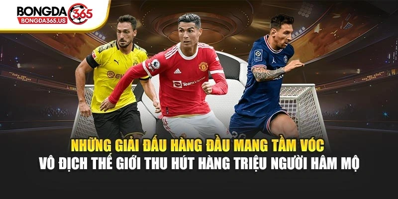 Những giải đấu hàng đầu mang tầm vóc vô địch thế giới thu hút hàng triệu người hâm mộ